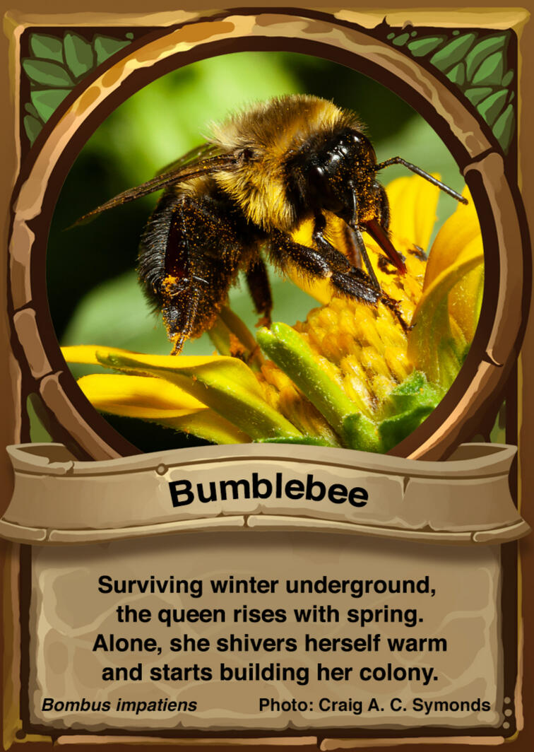 Bumblebee Auraswarm Trading Card Bumblebee Auraswarm Trading Card