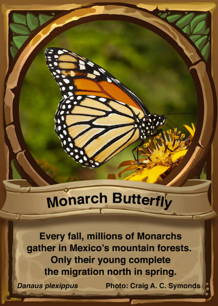 Monarch Butterfly Auraswarm Trading Card